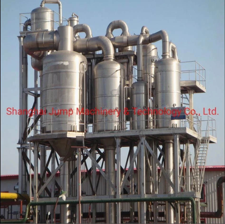 Mango Processing line machine-1